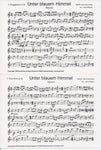 Musiknoten zu Unter blauem Himmel arrangiert/komponiert von Willi Papert (Einzelausgabe) - Musikverlag Seifert