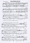 Musiknoten zu Sierra Madre Del Sur arrangiert/komponiert von Rudi Seifert (Einzelausgabe) - Musikverlag Seifert